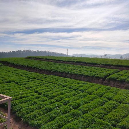 Brown Tree Resorts Ooty Exteriér fotografie