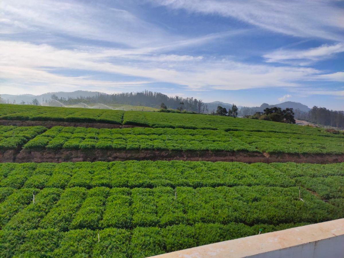 Brown Tree Resorts Ooty Exteriér fotografie